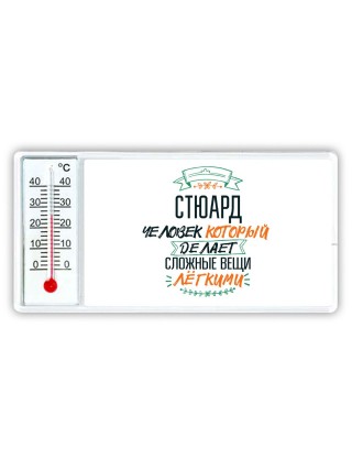 стюард человек который делет сложные вещи лёгкими