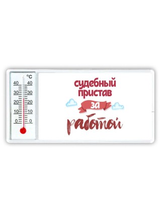 судебный пристав за работой