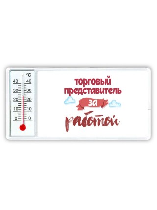 торговый представитель за работой