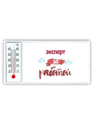 эксперт за работой