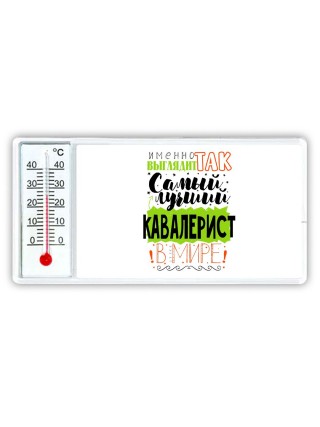 Именно так выглядит самый лучший кавалерист в целом мире