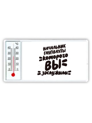 начальник гаупвахты которого вы заслужили
