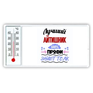 Лучший Айтишник 100 процентов профи - знает толк