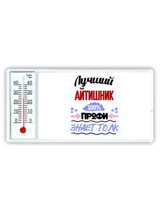 Лучший Айтишник 100 процентов профи - знает толк