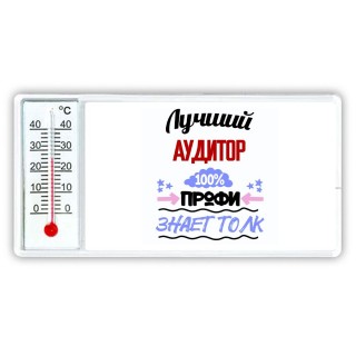 Лучший Аудитор 100 процентов профи - знает толк