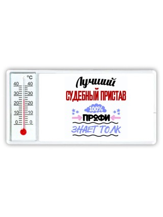 Лучший Судебный Пристав 100 процентов профи - знает толк