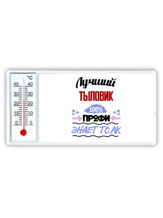 Лучший Тыловик 100 процентов профи - знает толк