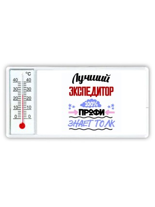 Лучший Экспедитор 100 процентов профи - знает толк