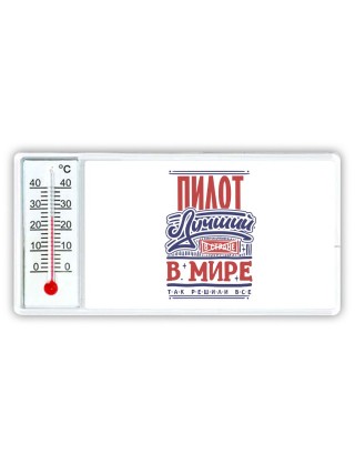 пилот лучший в стране в мире так решили все