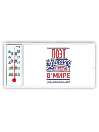 поэт лучший в стране в мире так решили все
