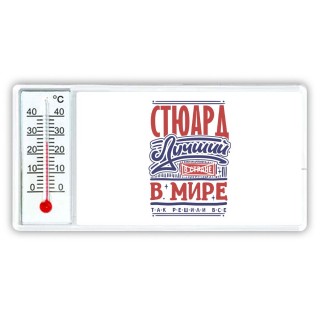 стюард лучший в стране в мире так решили все