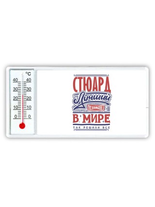 стюард лучший в стране в мире так решили все