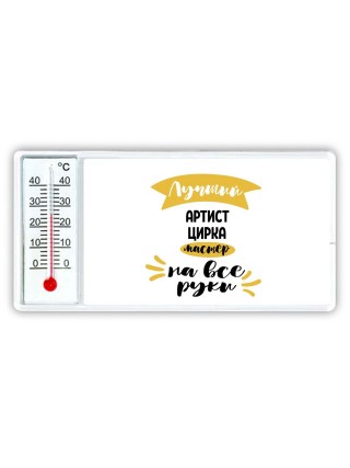 Лучший артист цирка мастер на все руки
