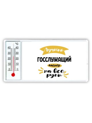 Лучший госслужащий мастер на все руки