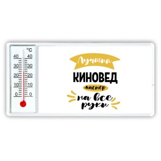 Лучший киновед мастер на все руки