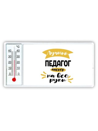 Лучший педагог мастер на все руки