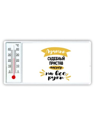 Лучший судебный пристав мастер на все руки