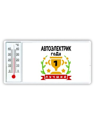 Лучший АВТОЭЛЕКТРИК года