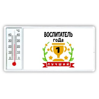 Лучший ВОСПИТАТЕЛЬ года