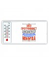 web программист может всё, только ему некогда