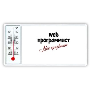 web программист моё призвание