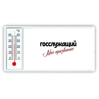 госслужащий моё призвание