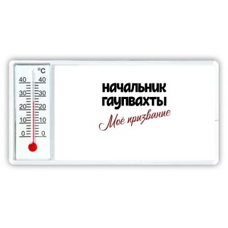 начальник гаупвахты моё призвание