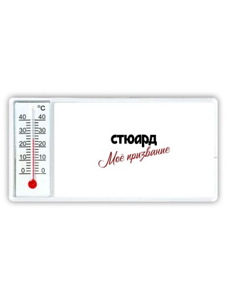 стюард моё призвание