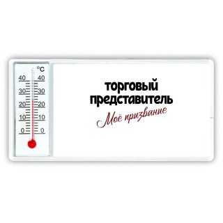 торговый представитель моё призвание