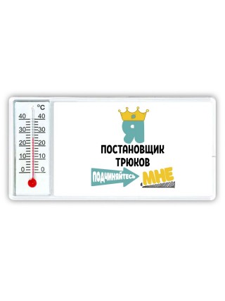 Я постановщик трюков подчиняйтесь мне