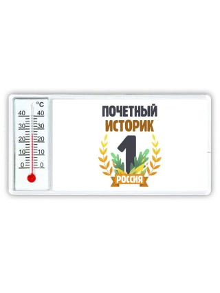 Почетный историк