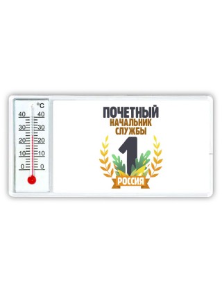 Почетный начальник службы