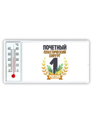 Почетный пластический хирург