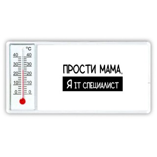 Прости мама, я it специалист