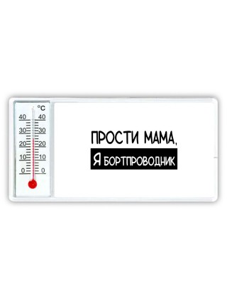 Прости мама, я бортпроводник