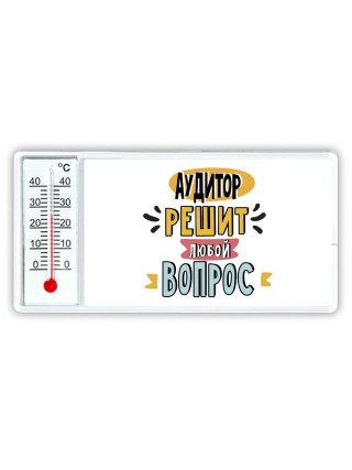 аудитор решит любой вопрос