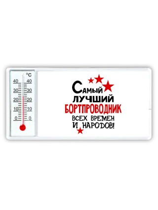 Самый лучший бортпроводник всех времён и народов