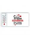 Самый лучший воздухоплаватель всех времён и народов
