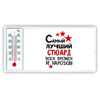 Самый лучший стюард всех времён и народов