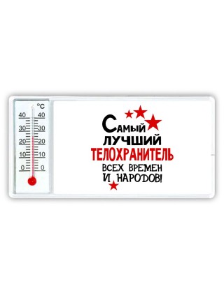 Самый лучший телохранитель всех времён и народов