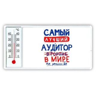 Самый лучший АУДИТОР в мире - так решили все