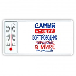 Самый лучший БОРТПРОВОДНИК в мире - так решили все