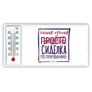 Самая лучшая просто СИДЕЛКА по призванию