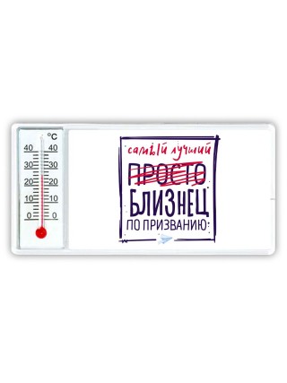 Самый лучший просто БЛИЗНЕЦ по призванию