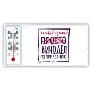 Самый лучший просто ВИНОДЕЛ по призванию