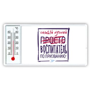 Самый лучший просто ВОСПИТАТЕЛЬ по призванию