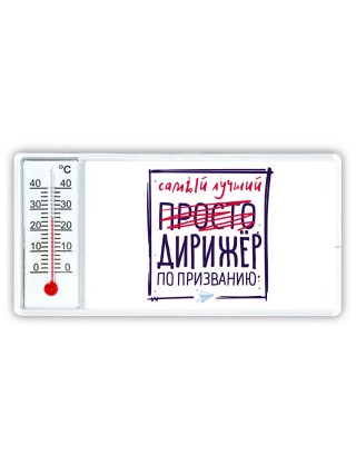 Самый лучший просто ДИРИЖЁР по призванию