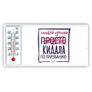 Самый лучший просто КИДАЛА по призванию