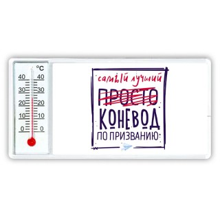 Самый лучший просто КОНЕВОД по призванию