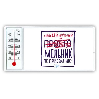 Самый лучший просто МЕЛЬНИК по призванию